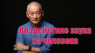 Как звуки воздействуют на человека и влияют на его жизнь и сознание.