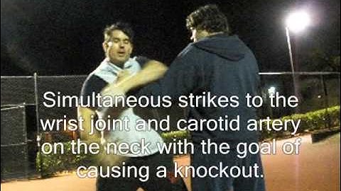 Street Taekwondo: Using The Double Knife Hand Block