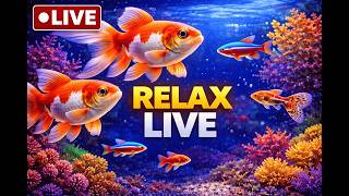 🐠 Underwater Calm for Sleep and Relaxation