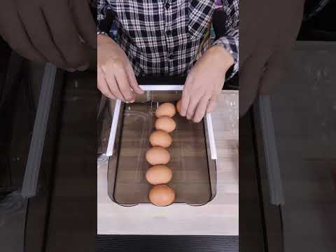 حافظة البيض    