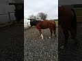 November 2017 - Herzensbrecher! Teil 1 von 3 November 2017 - Herzensbrecher! Teil 1 von 3