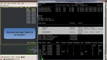 Using Yersinia on Layer 2 Network exploration