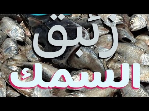السمك و الزئبق