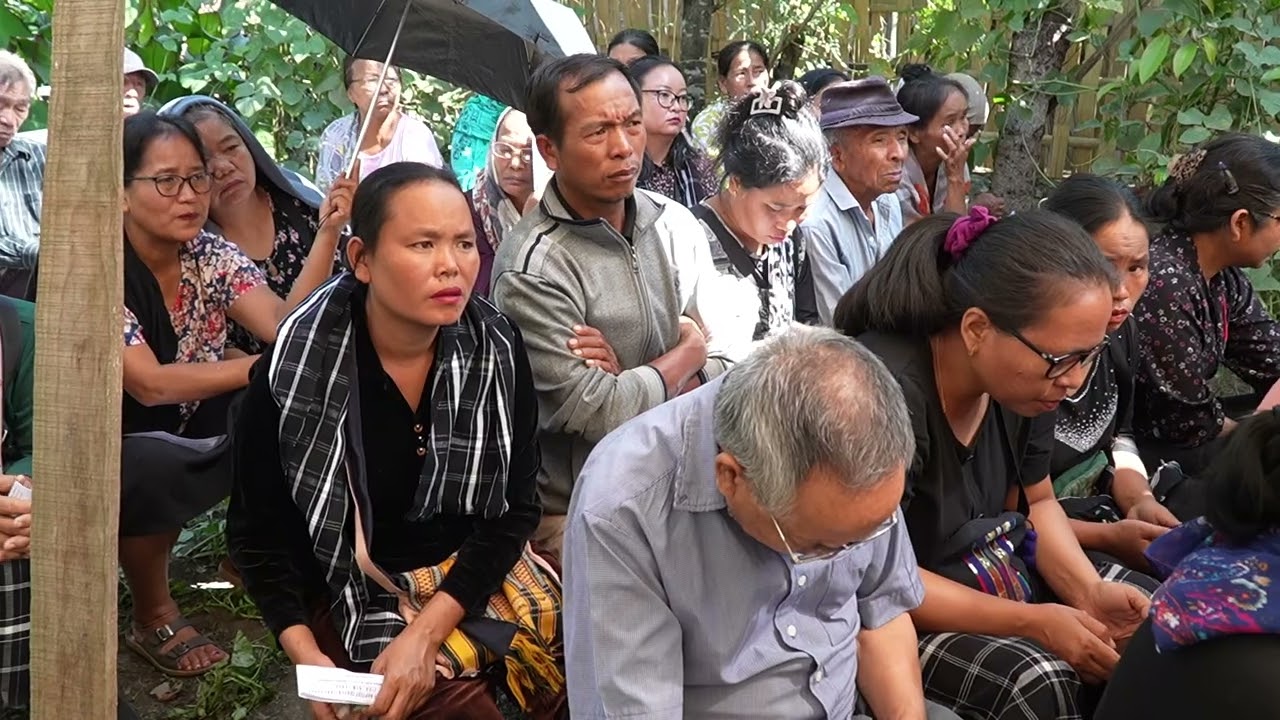 H Paupaulson Vuina Program