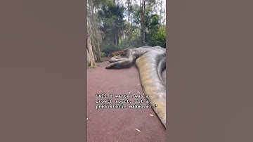 "All I wanted was a growth spurt, not a prehistoric makeover." Dinosaur video #spinosaurus #shorts