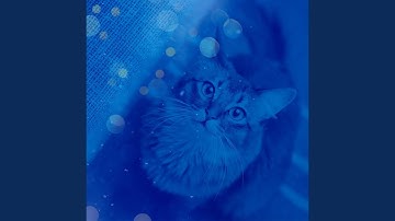 Pulsating Ambience for Comfy Cats