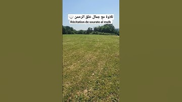أولم يروا إلى الطير || القارئ حمزة يوسف || Hamza Youssef || récitation de sourate al mulk