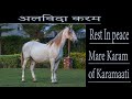   rip mare karam of karamaati