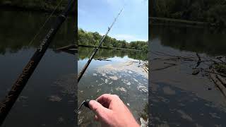Bed fishing for smallmouth bass