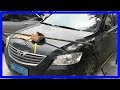 因為亂停車，被人拆了車輪，還用鋼筋將車焊死，網友大讚：做的漂亮！