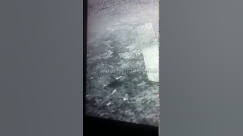 4-0 on hardhat dispute