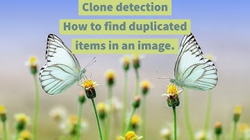 How to find Duplicate items in an image. Clone Detection Tool.