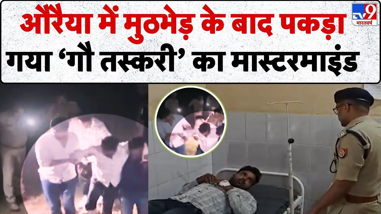 UP Police Action: Auraiya में मुठभेड़ के बाद पकड़ा गया गौ तस्करी का मास्टरमाइंड -TV9 | UP News