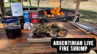 Argentinian chimichurri shrimp over the live fire in central texas best tasting shrimp EVER!! by dark side of the grill 377 views 1 year ago 7 minutes, 59 seconds