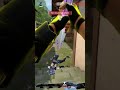 Tejo ace with aura  valo gameplay #valorant#tejo #ace