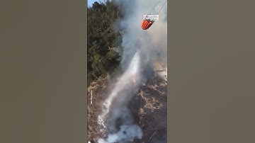 Thumbnail of Putting Out a Forest Fire in Style