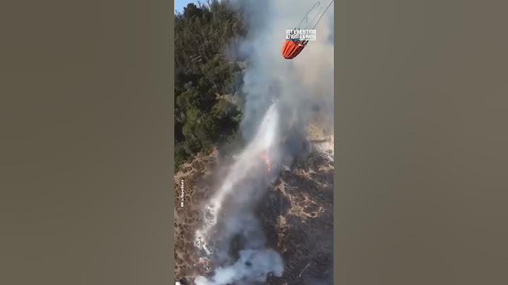 Putting Out a Forest Fire in Style