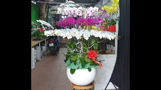 Hoa Lan Hồ Điệp / Orchid - Mẫu cắm 30 cây xoay tròn thông dụng nhất ( T9 )