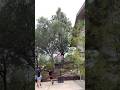 Whoever loses has the jump in the pool #basketball #funny #basketballs ￼