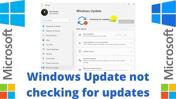 Windows Update Not Checking For Updates On Windows 11/10