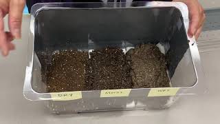 Grade 4 - Designing an Isopod Environment
