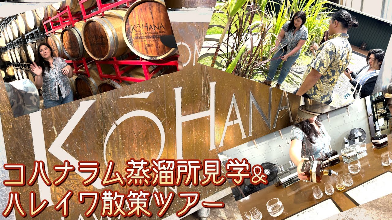 ram様　おまとめ中　ロイヤルハワイアンの夕暮 ハワイの高級リゾートホテルのショップめぐり！おすすめショップの