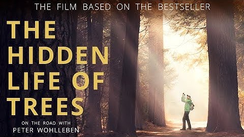 The Hidden Life of Trees - Official Movie Trailer (2021)