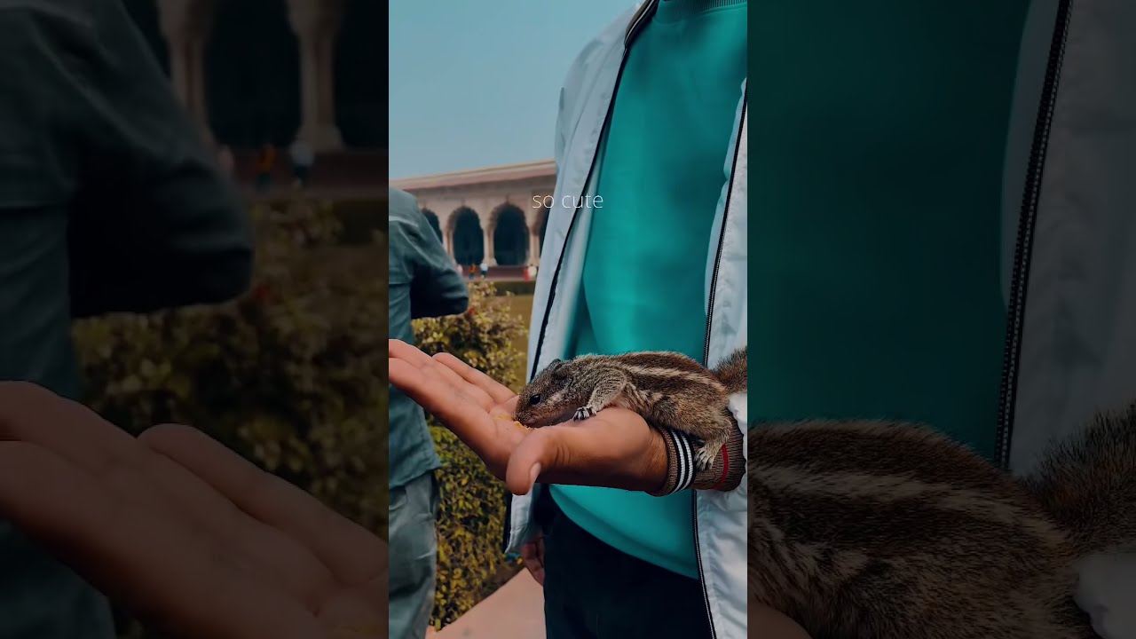 Agra mini vlog #agrafort #tajmahal #trendingshorts #minivlog #agra #motovlogger #uttarpradesh