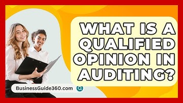 What Is A Qualified Opinion In Auditing? - BusinessGuide360.com