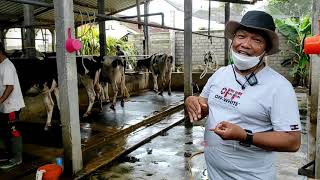 Tutorial dan Penjelasan Cara Memerah  Susu Pakai Mesin Perah