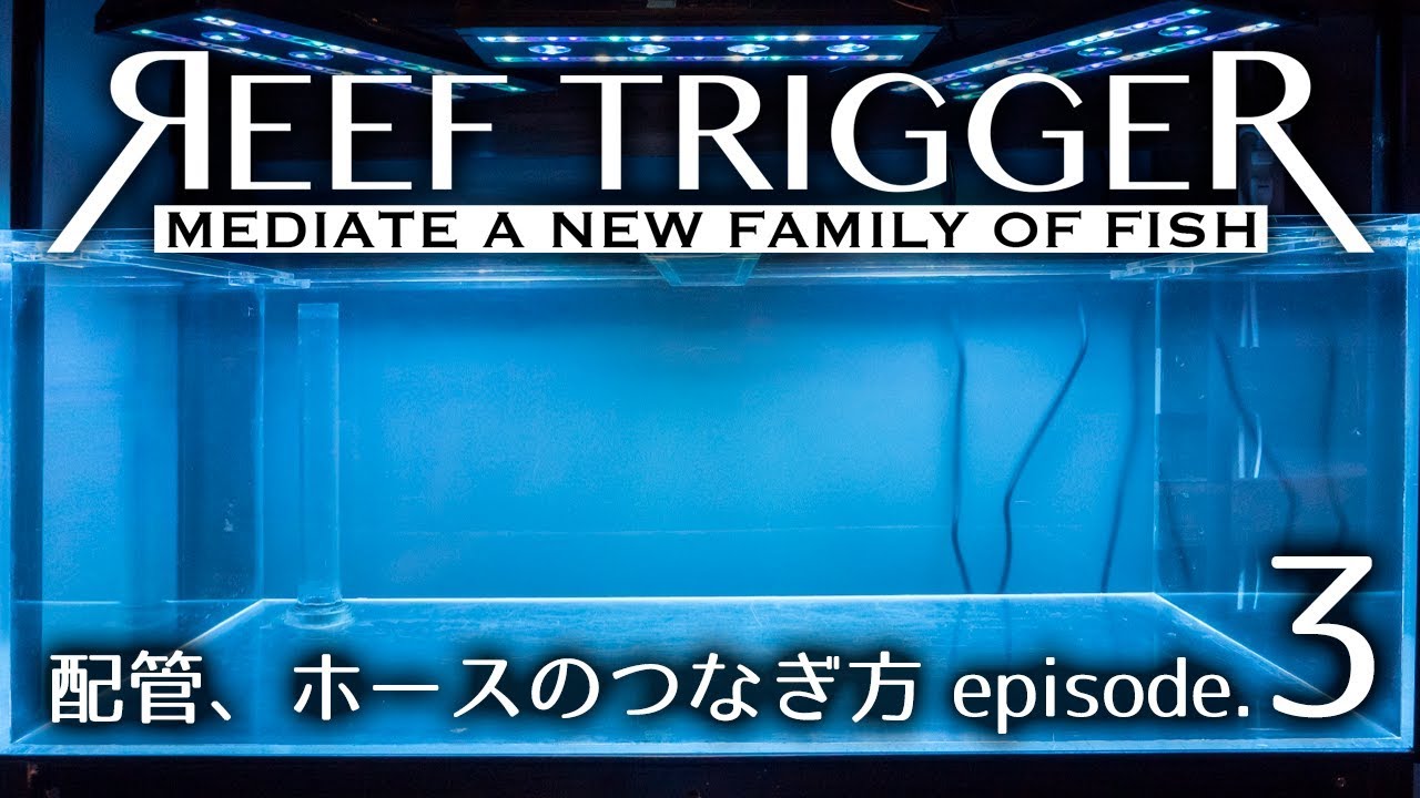 Rt水槽立ち上げ Ep3 配管 ホースのつなぎ方 Youtube
