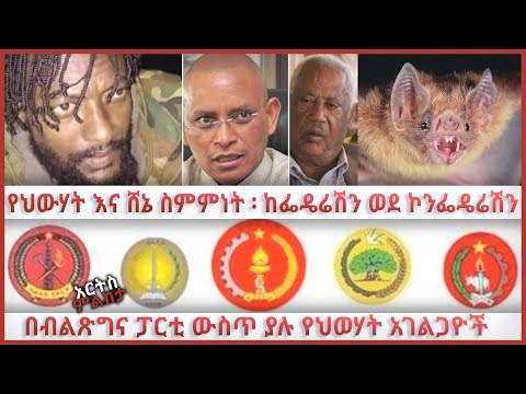 ቪዲዮ: የዲያኮኖቭ የጠመንጃ ቦምብ አስጀማሪ፡ መግለጫ፣ የአሠራር መርህ፣ ፎቶ