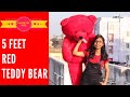 5 Feet Red Teddy Bear Unboxing | Red Teddy Bear Unboxing | Giant Teddy Bear Unboxing Hindi