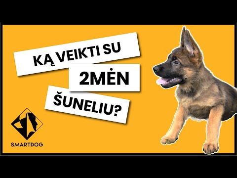 Video: Ką žinoti prieš išvykdami ir įsigydami naują bagažą