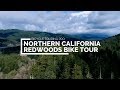 160-MILE REDWOODS BIKE TOUR -- California Cycling Documentary