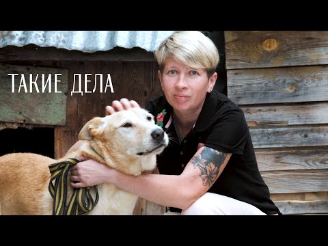 Ч'хвостики: дом для четвероногих