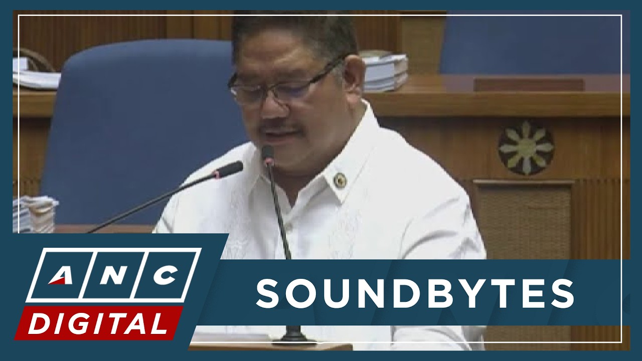 Libanan calls for guidelines on how spokesmen, uniformed personnel engage with academe, forums | ANC