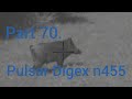 Part 70. Wild boar hunting, Pulsar Digex n455