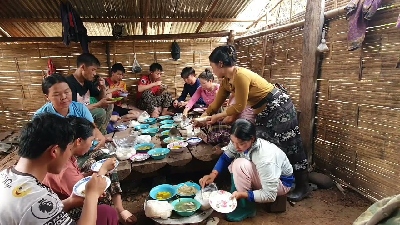 peb los so noj su yuav rov mus cog qos dua 