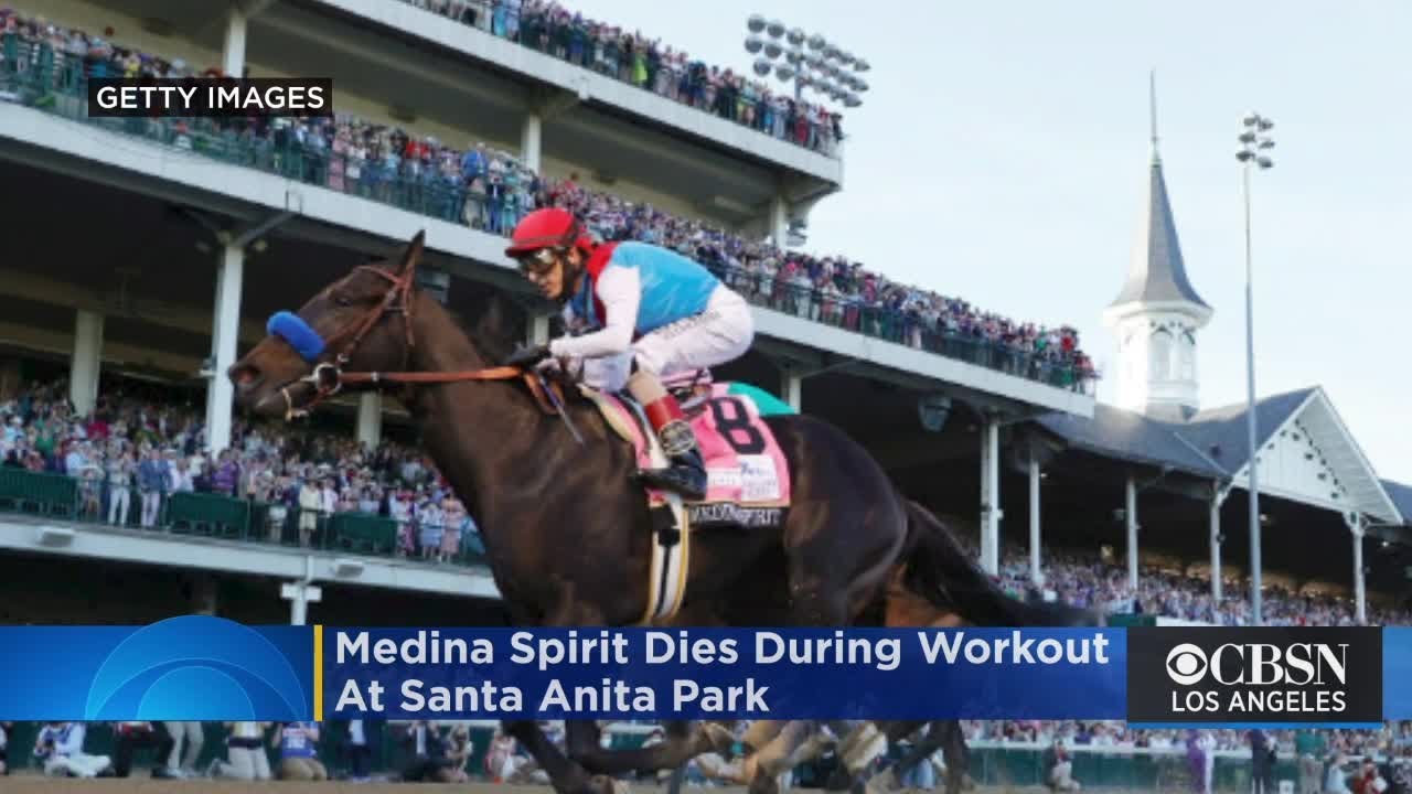 Medina Spirit, who failed drug test after winning 2021 Kentucky ...