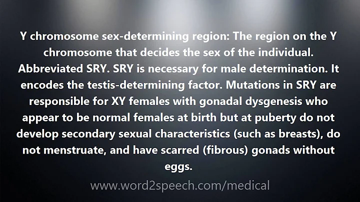 Y chromosome sex-determining region - Medical Definition and Pronunciation