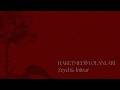 Zeyd İntizar Haketmedim Olanları Official Lyric Video