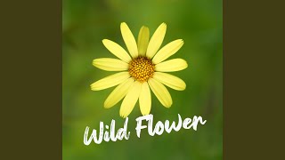 Wild Flower