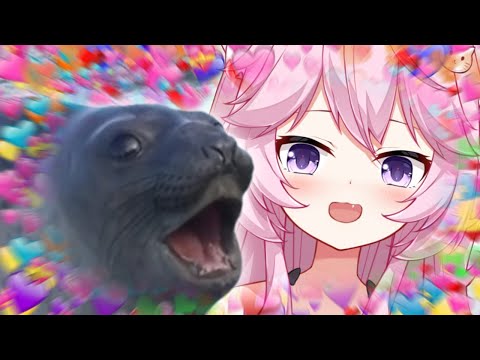 Nyanners Seal Noises Compilation