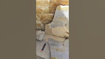 Multi-Fish Fossils Slab