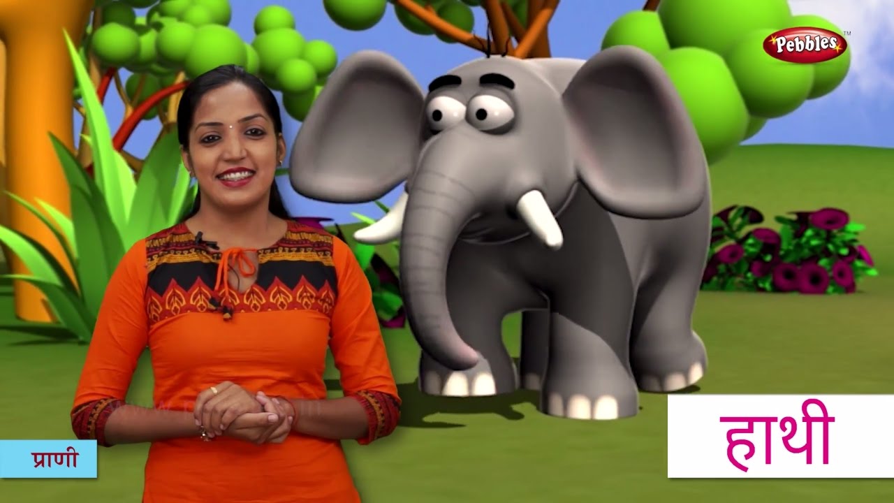 Animal Names in Hindi | हिंदी में प्राणियों के नाम सीखे | Hindi Animal  Names For Children - YouTube