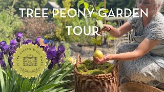 The Life of a Lemon | GORGEOUS Tree Peony Tour | Solo Picnic EP 21