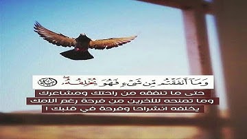تلاوة هادئه وجميله جدا للقارئ اشرف اللحجي💜🌷