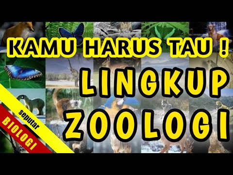 Video: Apa Itu Zoologi