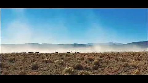 Dusty day in the desert